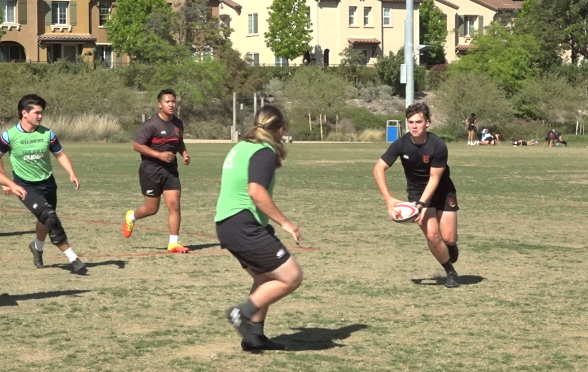 MUSTANGS RUGBY.png