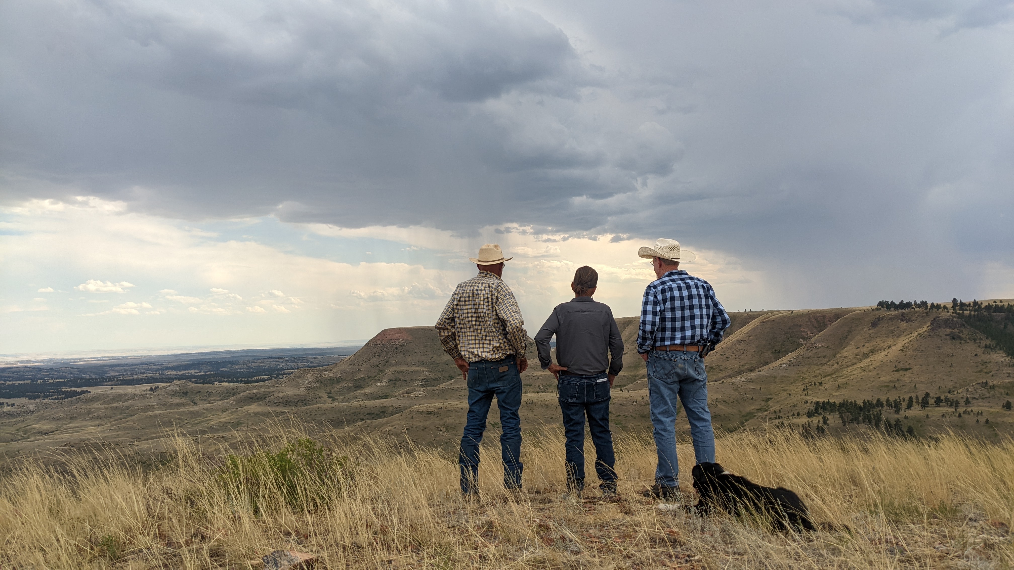 Bull Mountain ranchers
