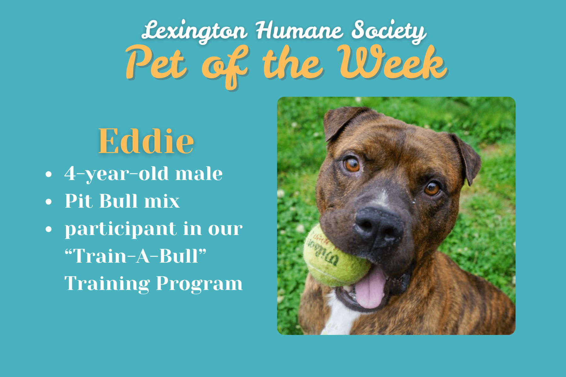 potw eddie.png