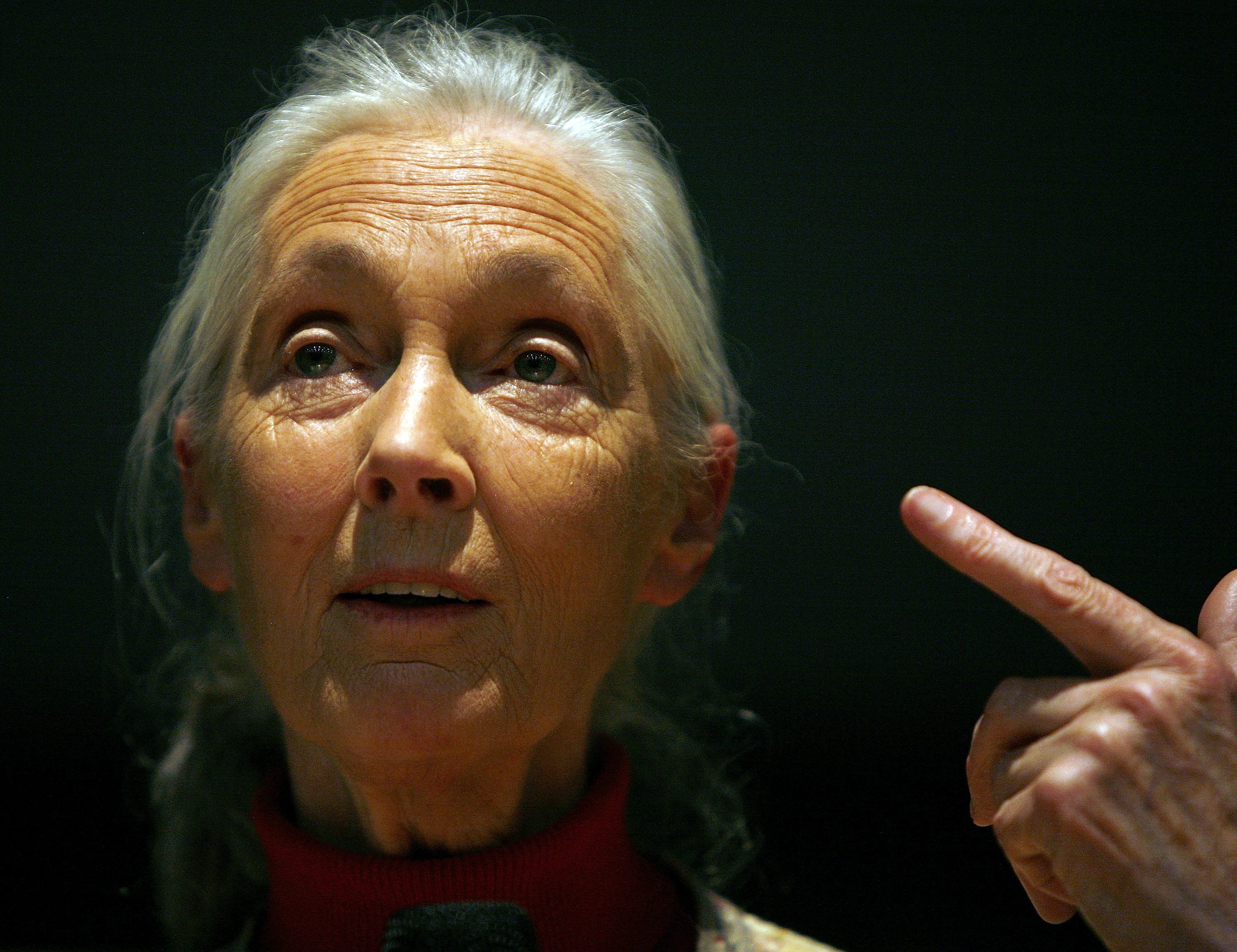British primatologist, ethologist and anthropologist Jane Goodall talks to students at the University of Zurich, Switzerland, Monday, December 4, 2006. Jane Goodall spoke about "Reasons for Hope". 