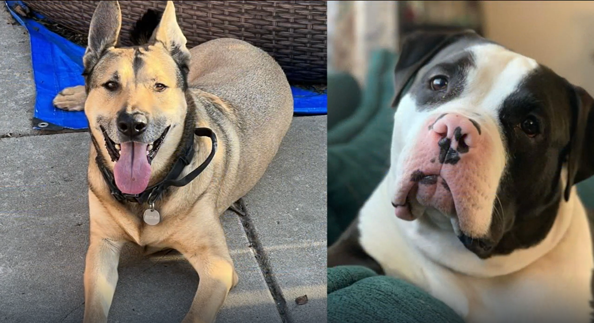 Screenshot (808).png