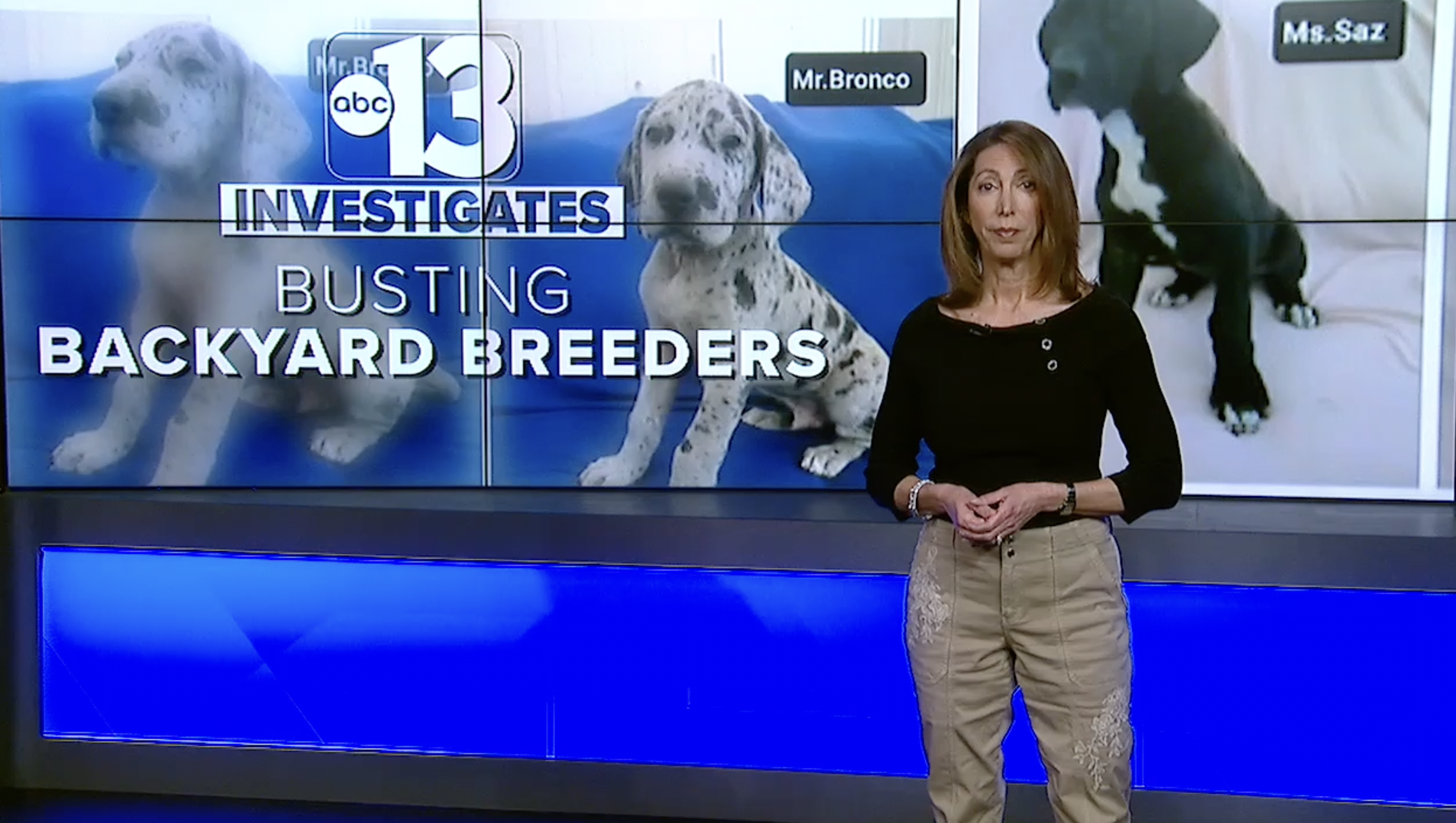 13 Investigates: Backyard Breeders 