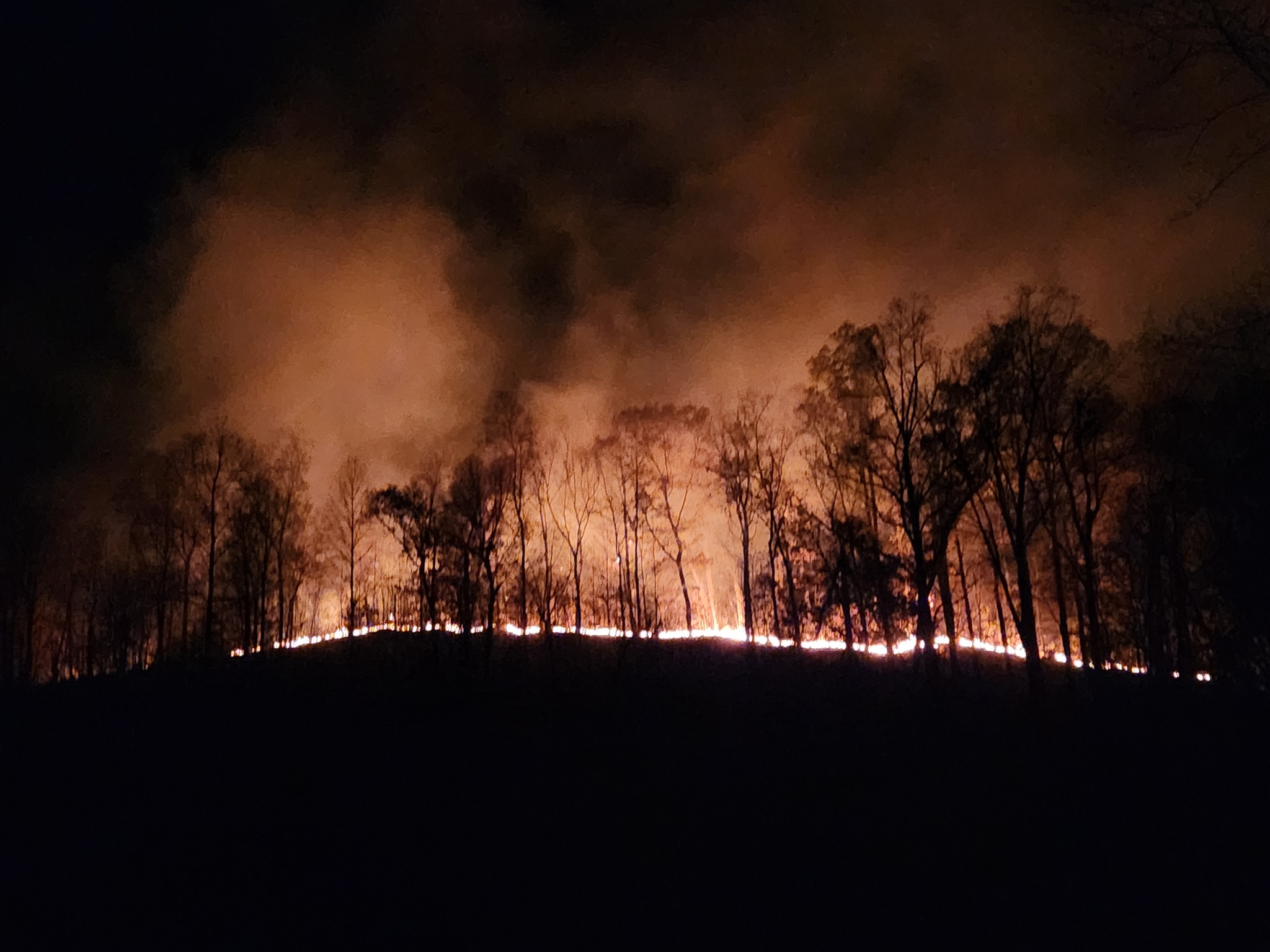 wildfire ky.jpg