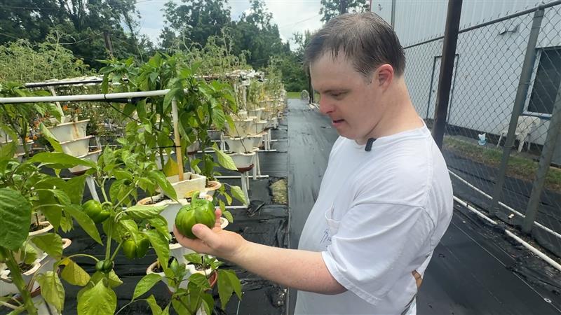 Community garden Port Richey