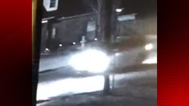Calcasieu hit and run.jpg
