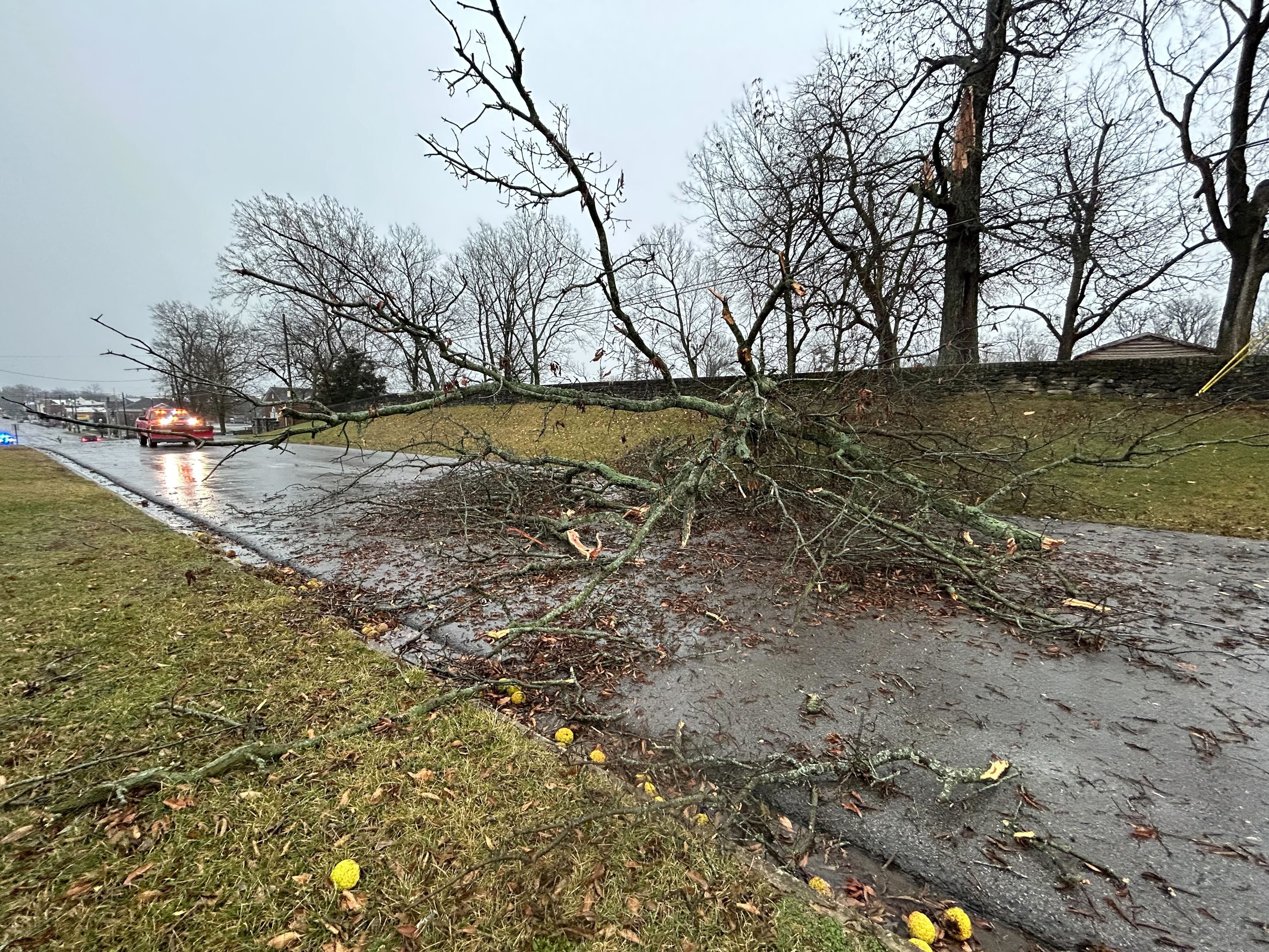 storm damage.jpg