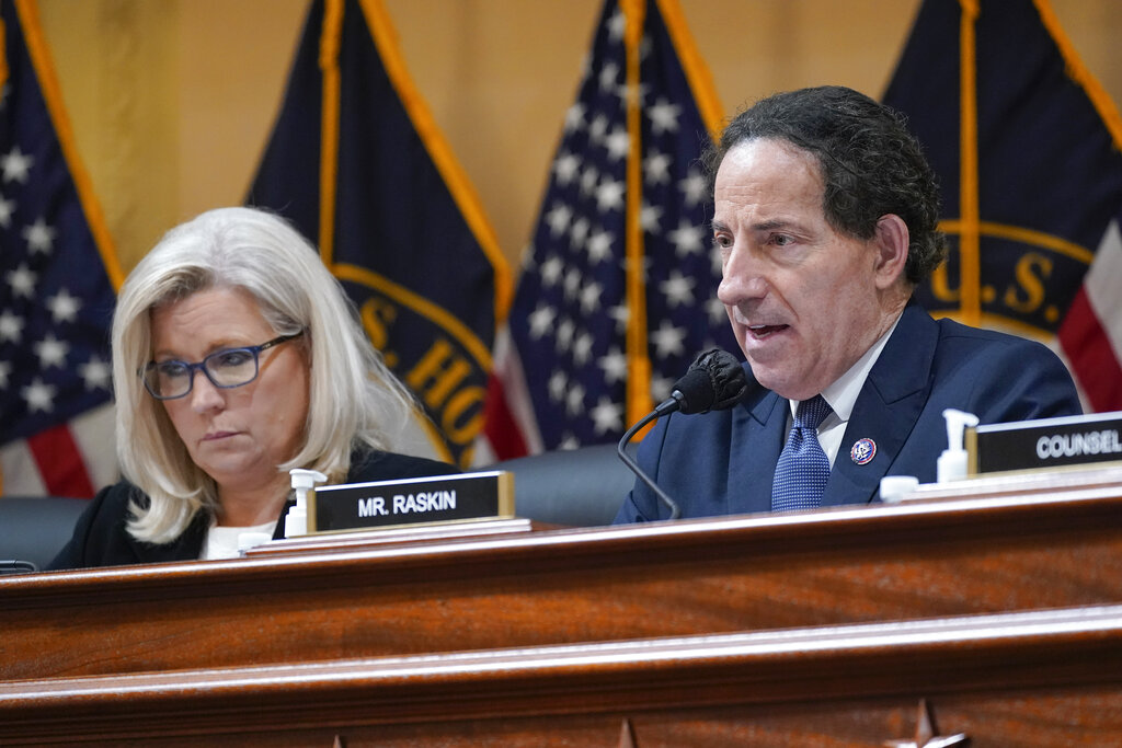 liz cheney jamie raskin jan 6 committee