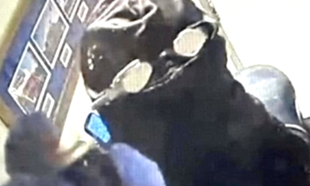 Scuba thief 