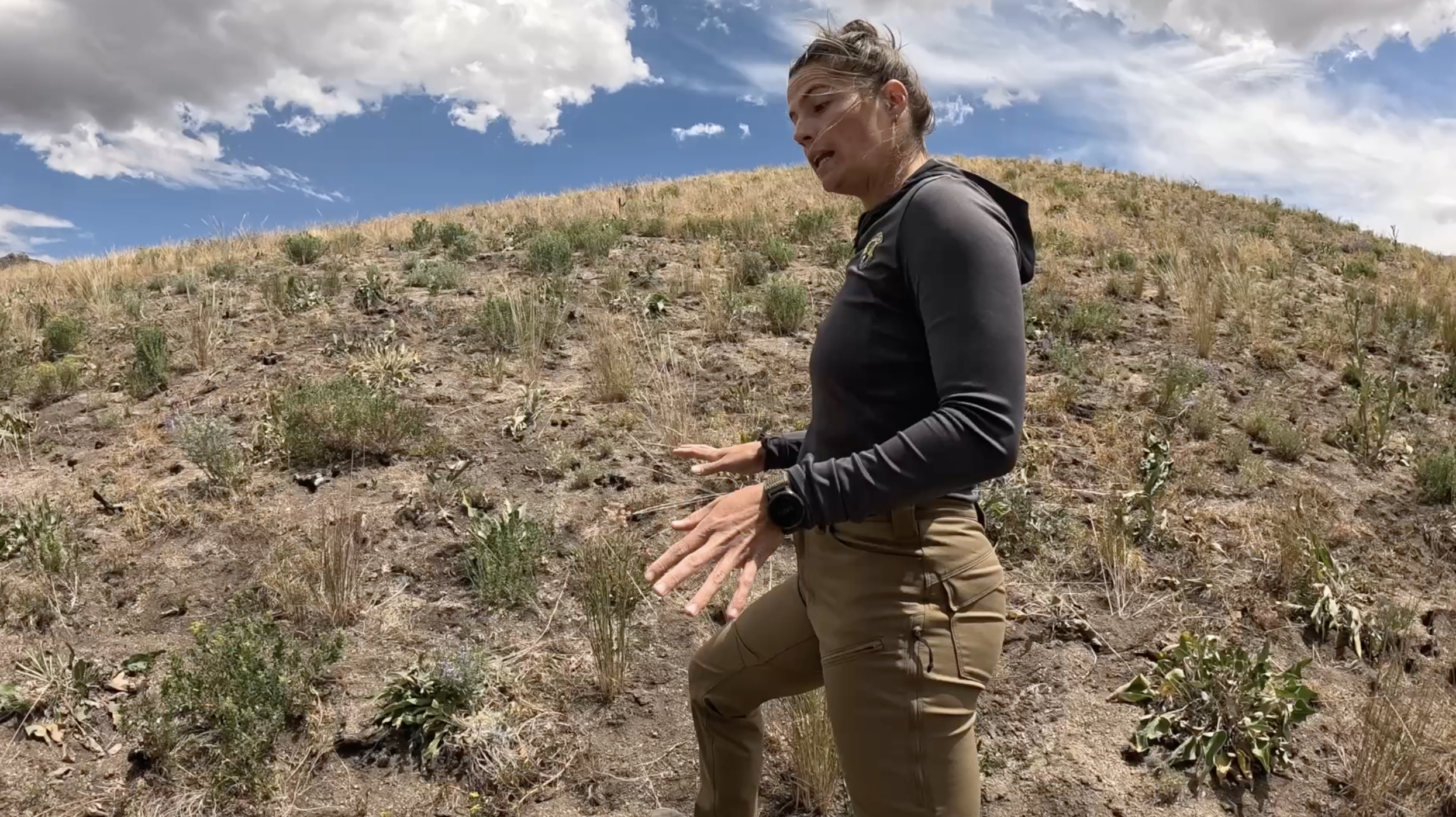 Fighting Idaho's fire weed