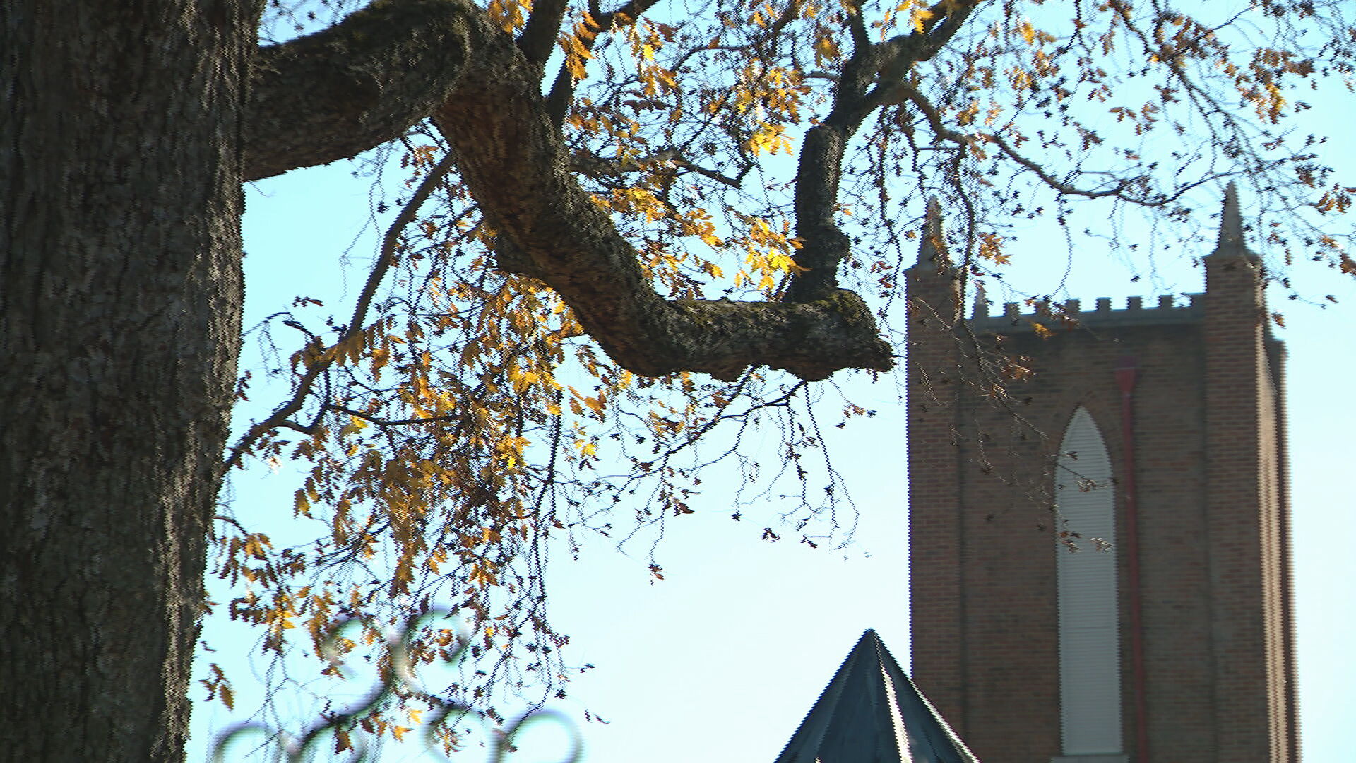 tree episcopal church franklin tn 