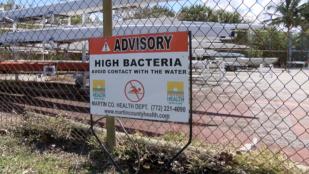 WPTV-MARTIN-COUNTY-BACTERIA.jpg