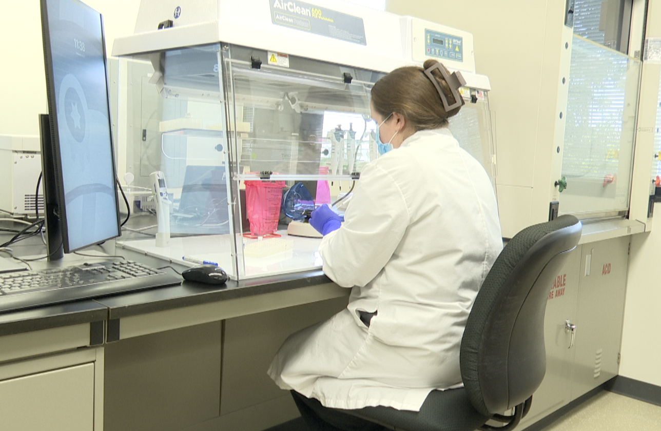 TPD LAB