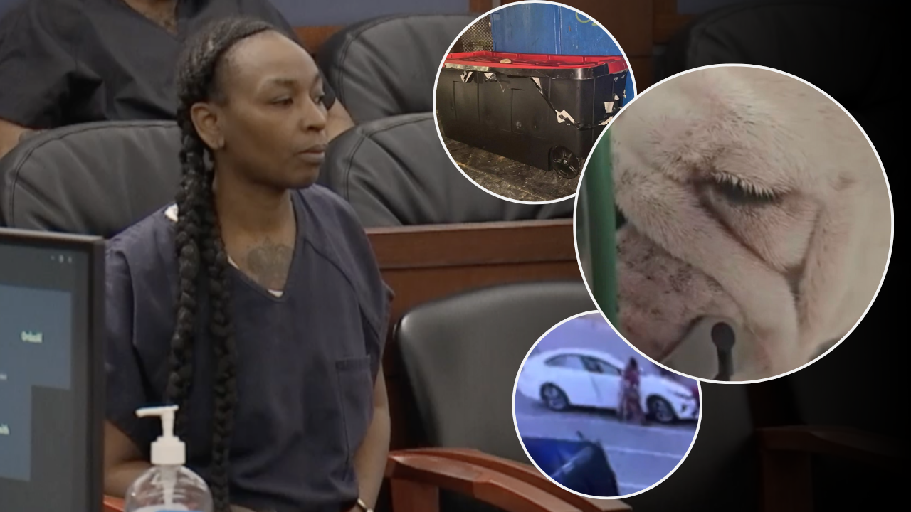 Markeisha Foster, second suspect in death of Reba the bulldog, won't spend additional time behind bars