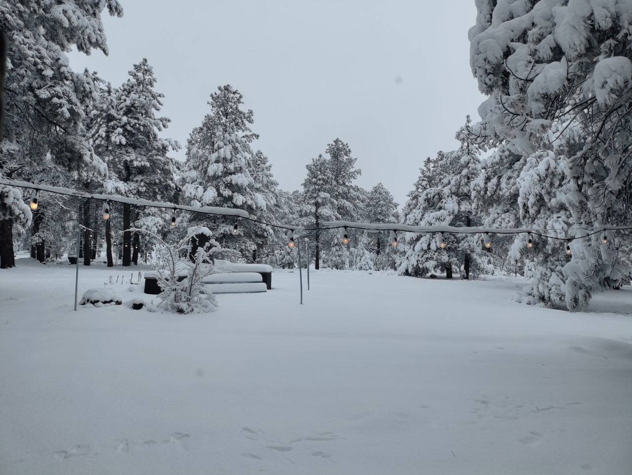 Snow in Flagstaff 12\28\22