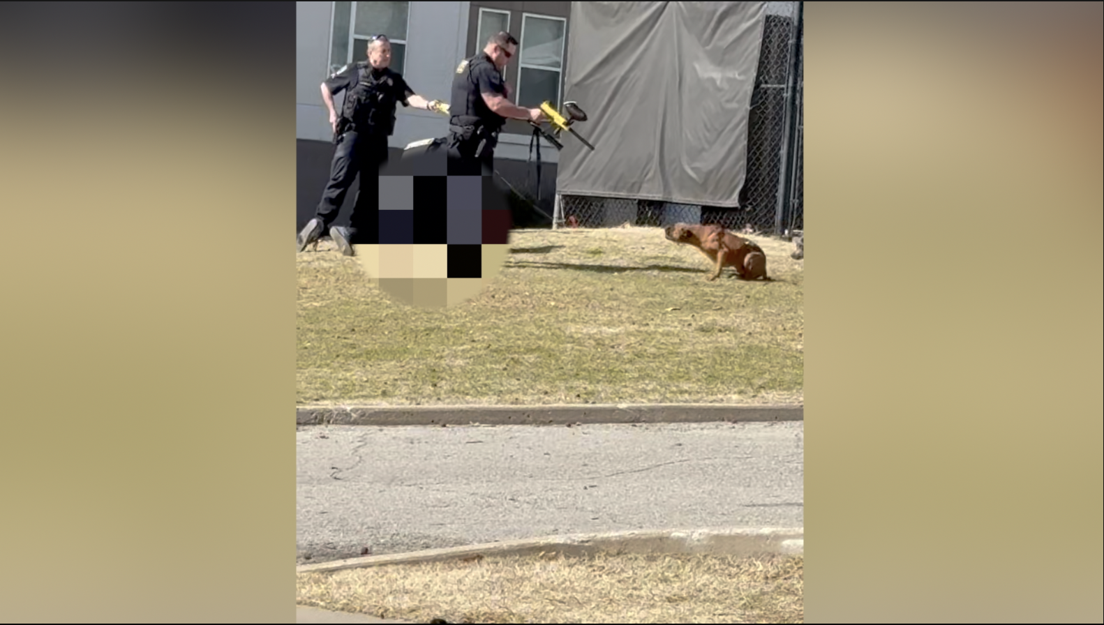 tpd animal force