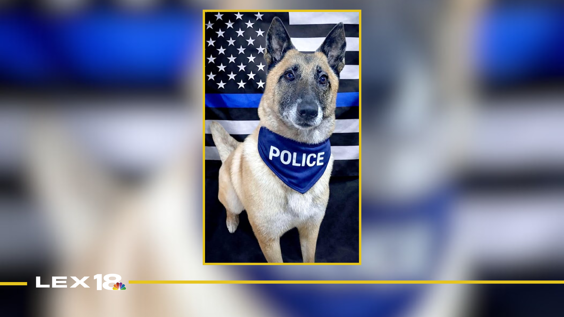 Featured Image Custom Edit (12).png