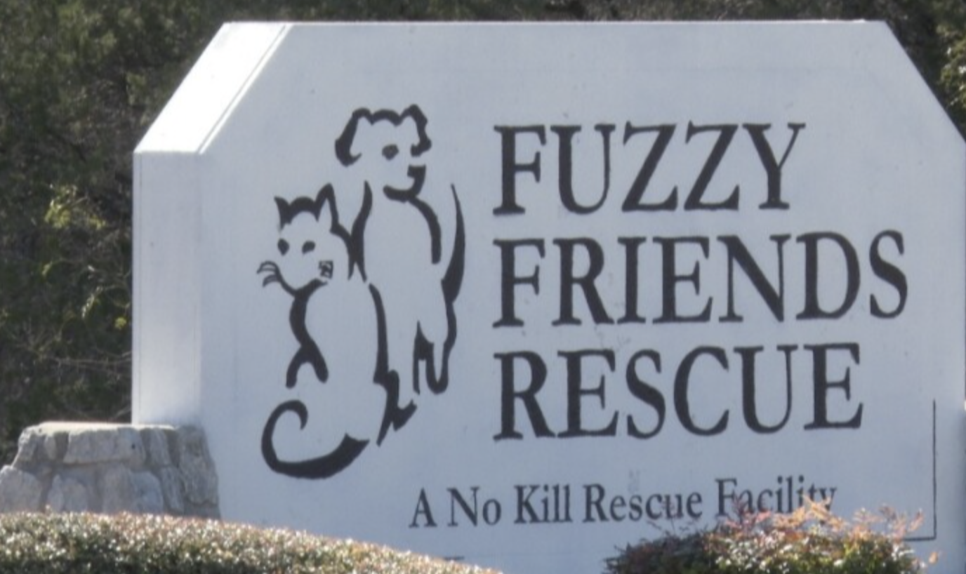 How to prep your pets for the cold in Central Texas