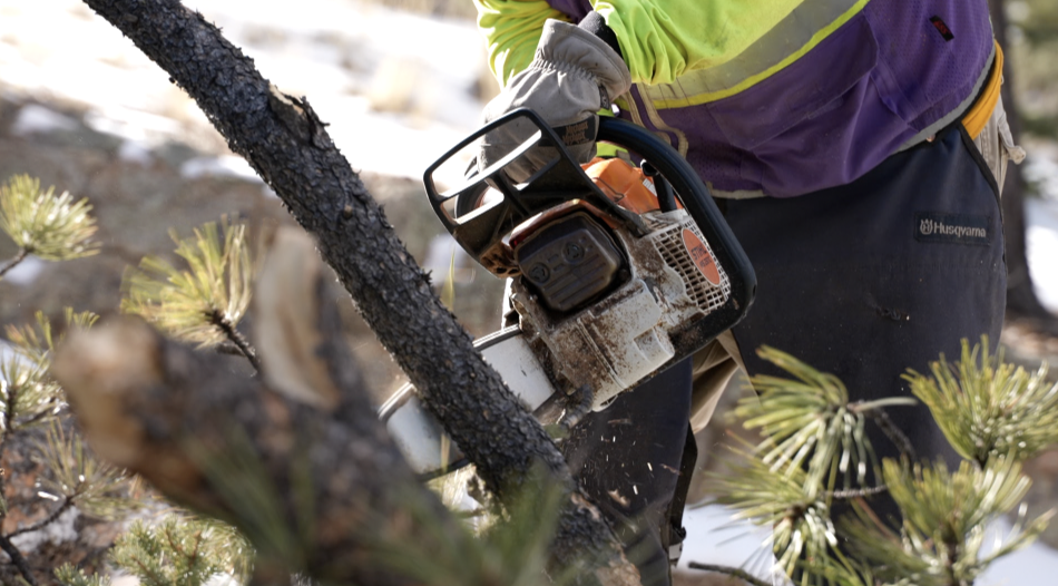fire mitigation