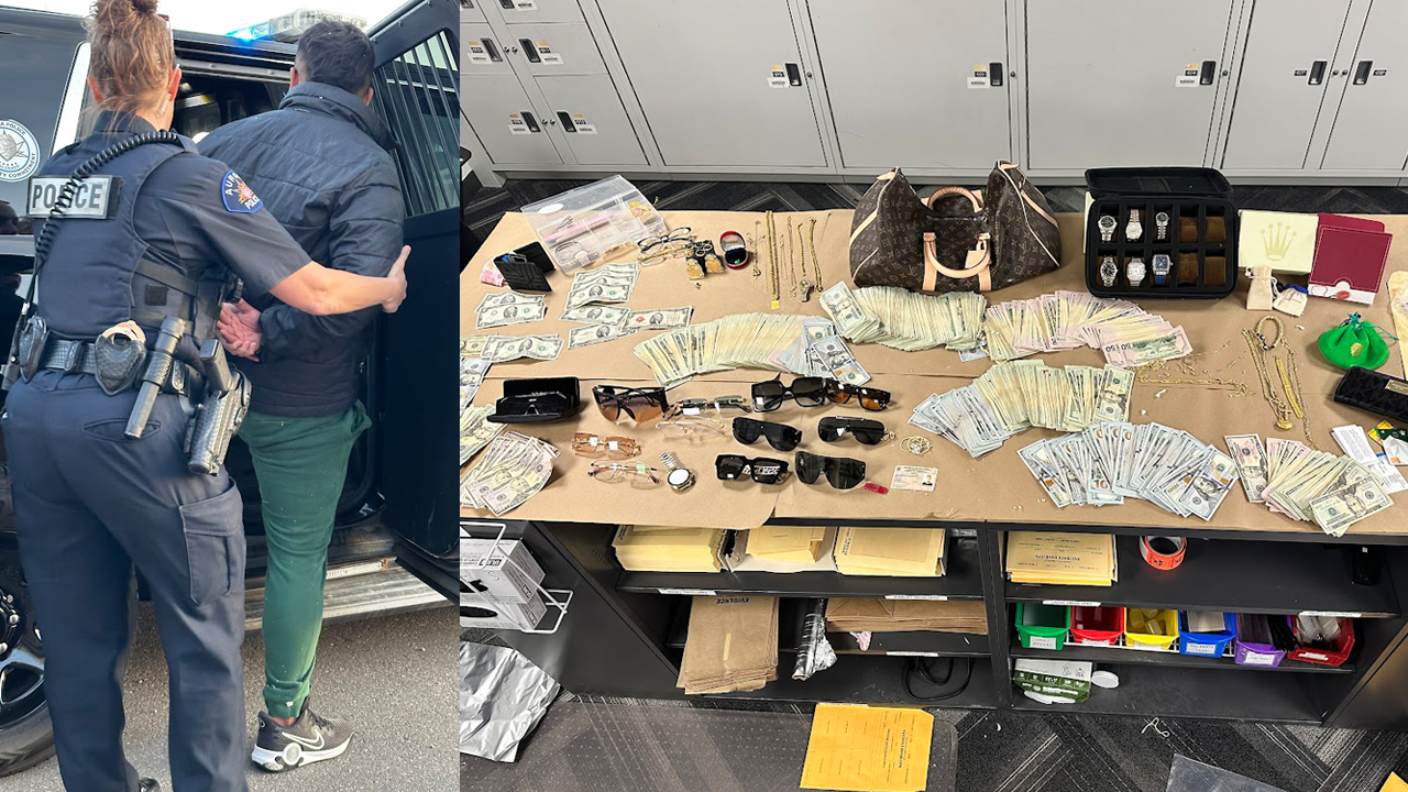 burglary ring bust.png