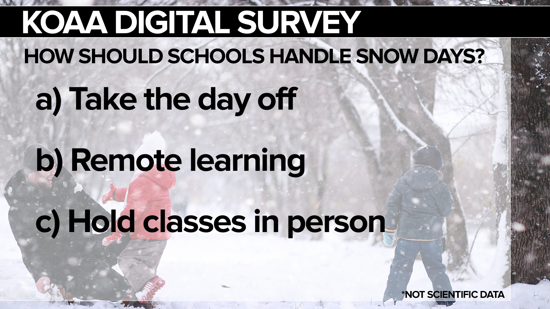 SURVEY Snow Day.jpg