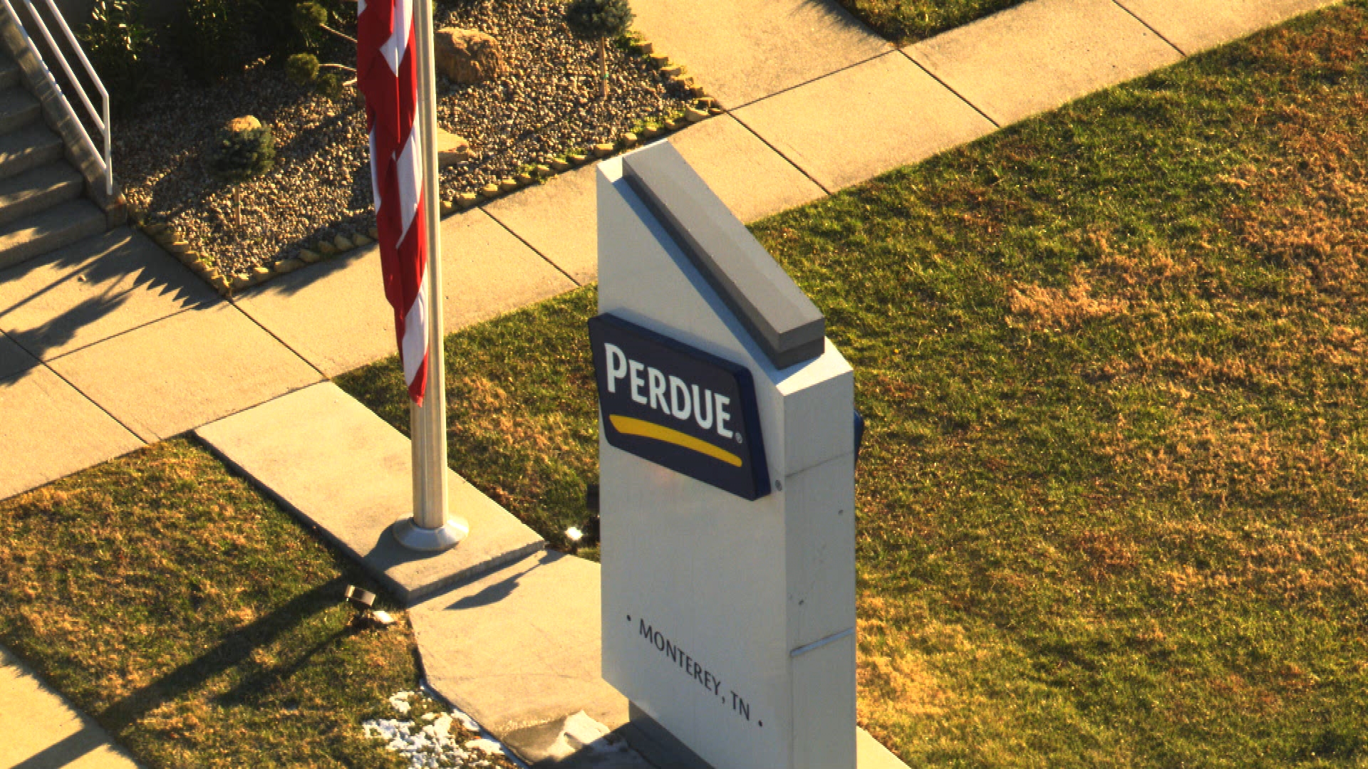 perdue tight.jpg