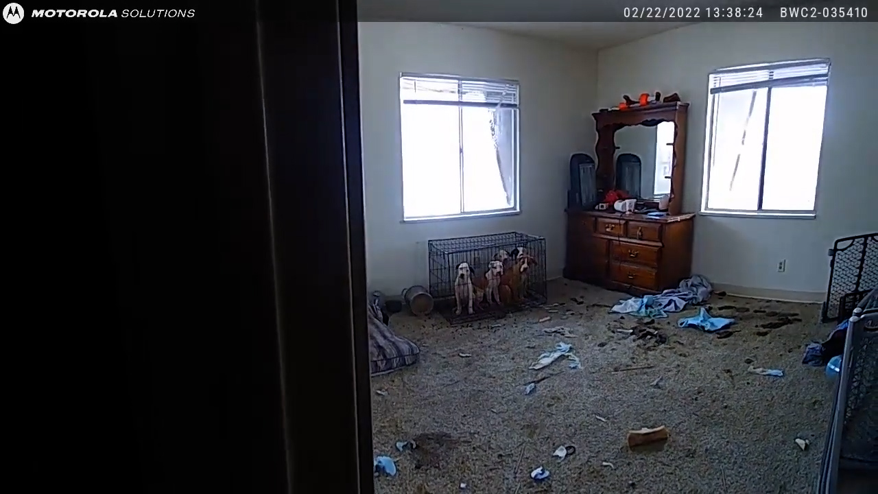 Dogs seized from poor living conditions in Arapahoe Co. home
