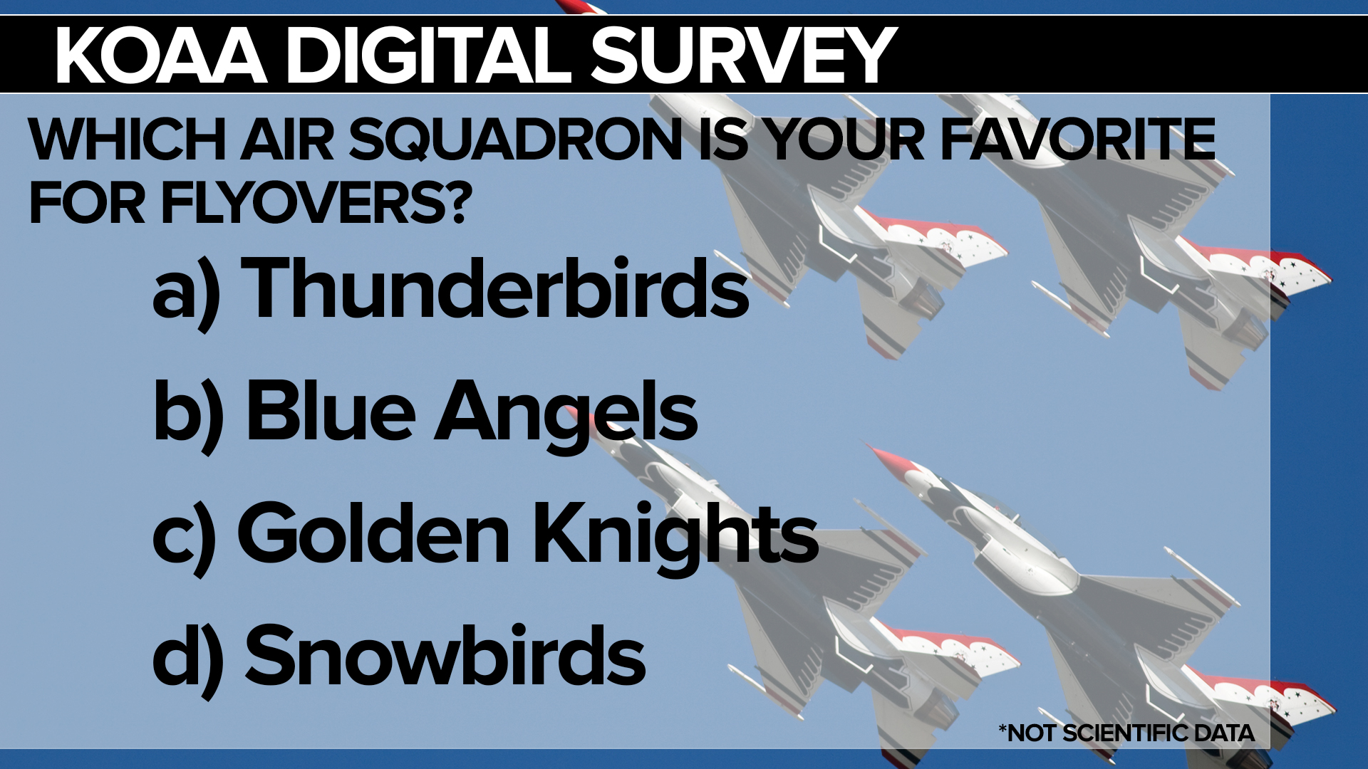 SURVEY AirShow.jpg