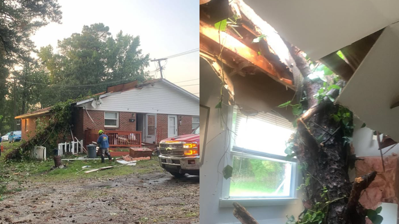 Tree through roof Chester
