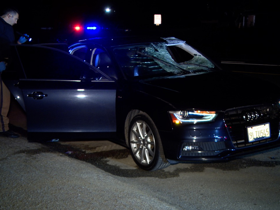 jamul_fatal_hit_run_041524.jpg