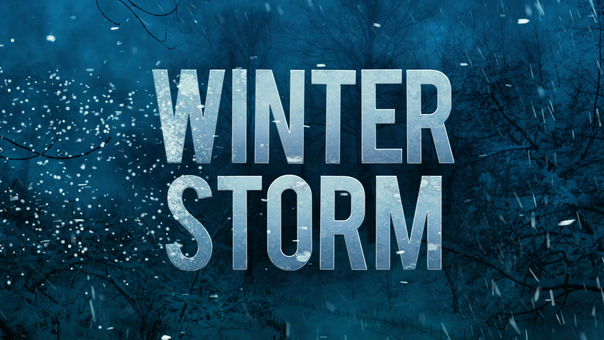 Winter Storm FS MON (1).png