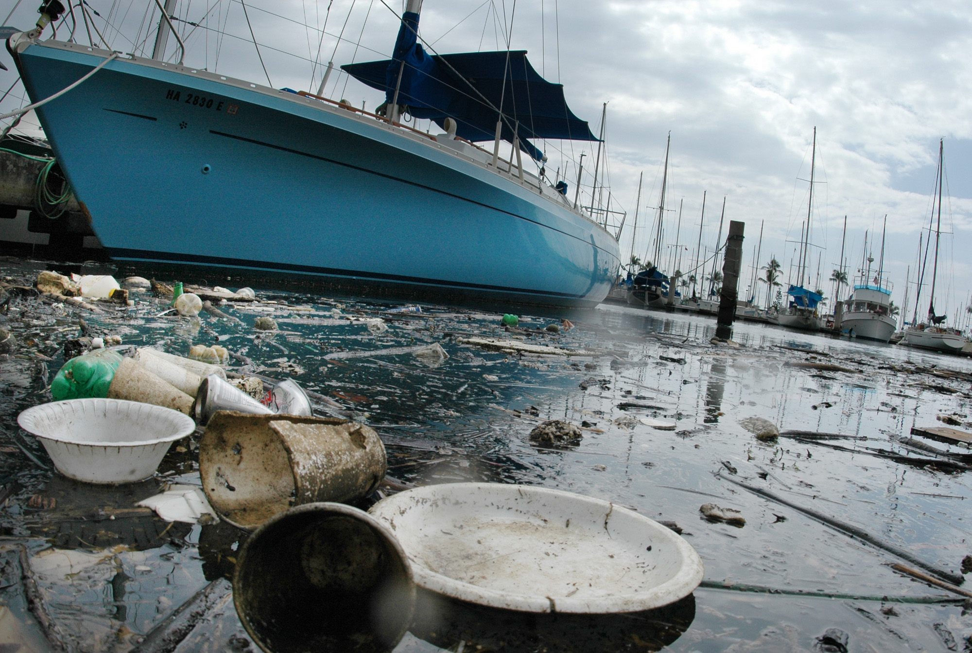POLLUTION IN PARADISE