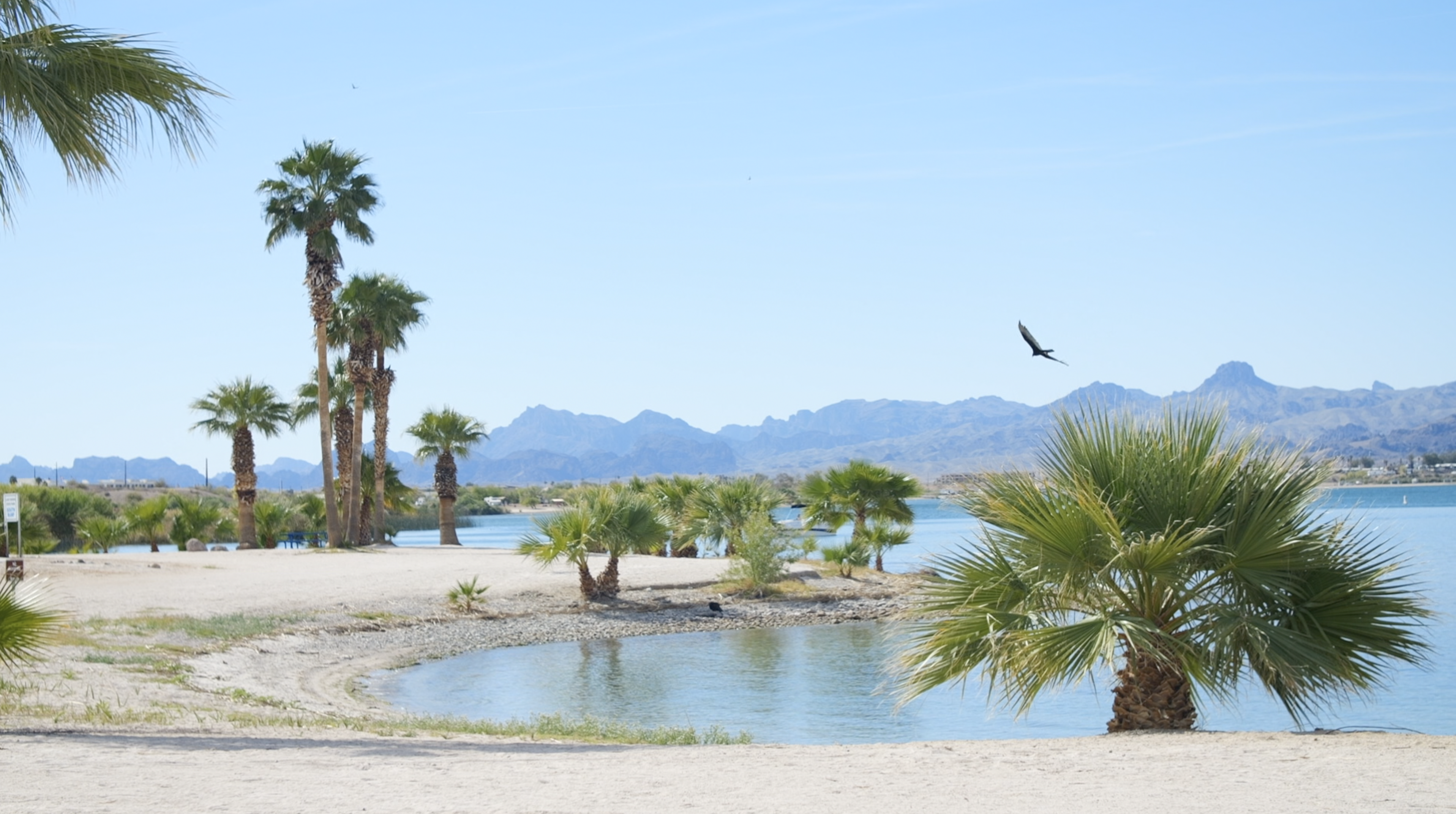 Lake Havasu State Park