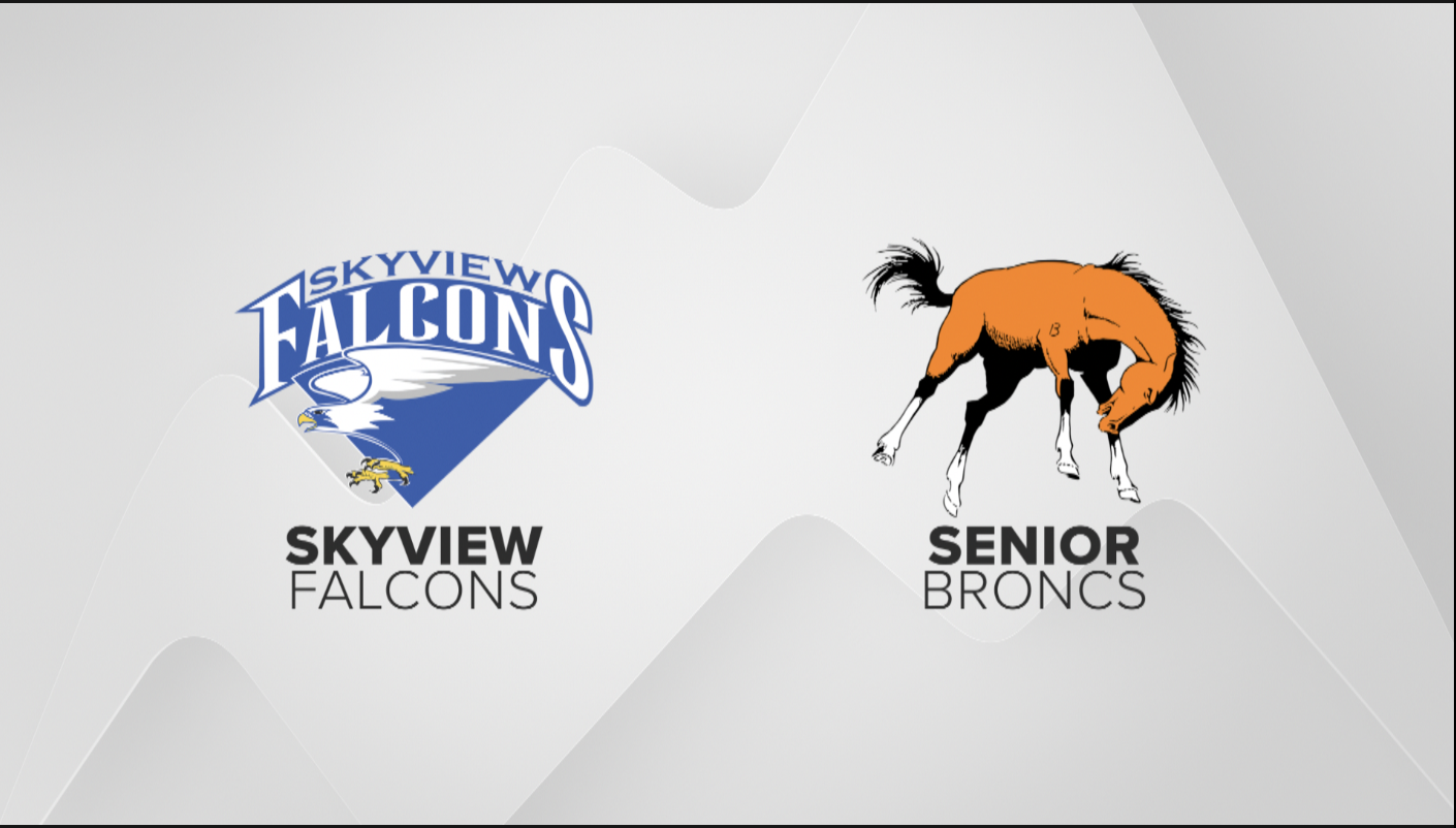 Skyview Senior Inter