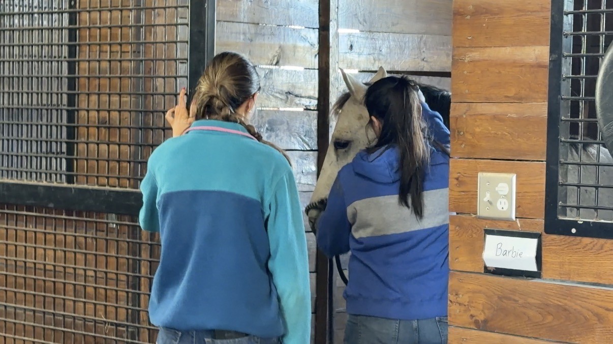 women with horse