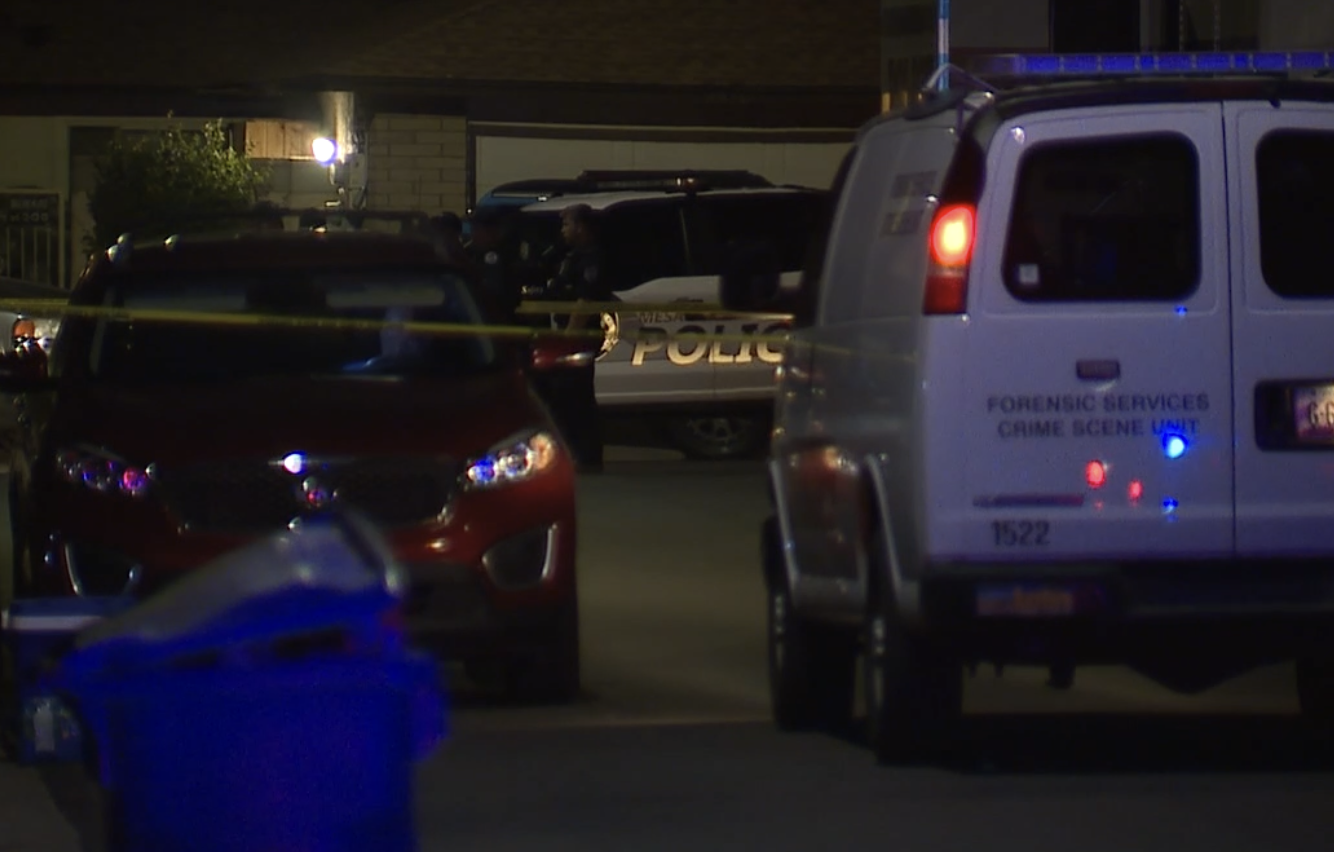 Playa Mesa GSW murder suicide