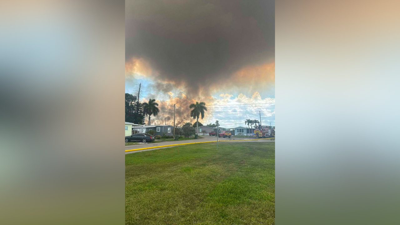 Florida wildfires