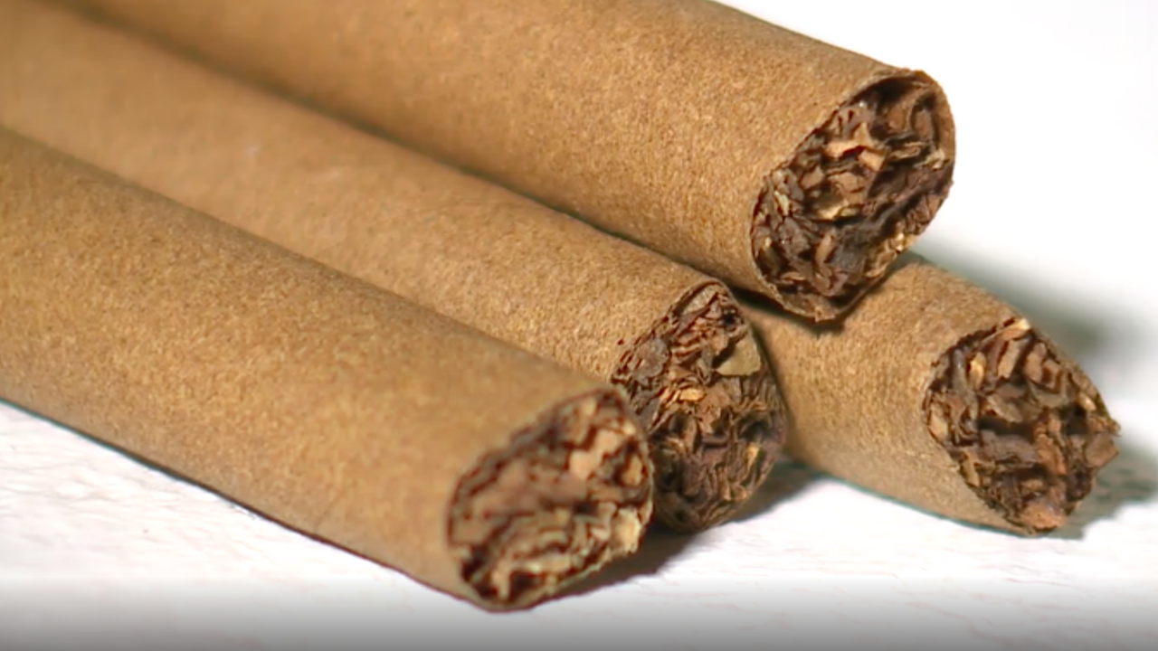 Ybor City shop says proposed FDA cigar-ban leaves many traditional shops unaffected