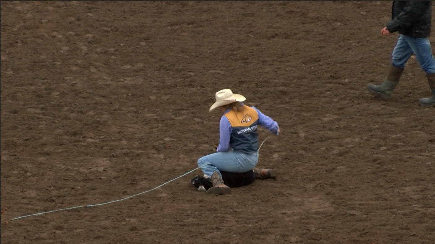 MSU rodeo generic.png