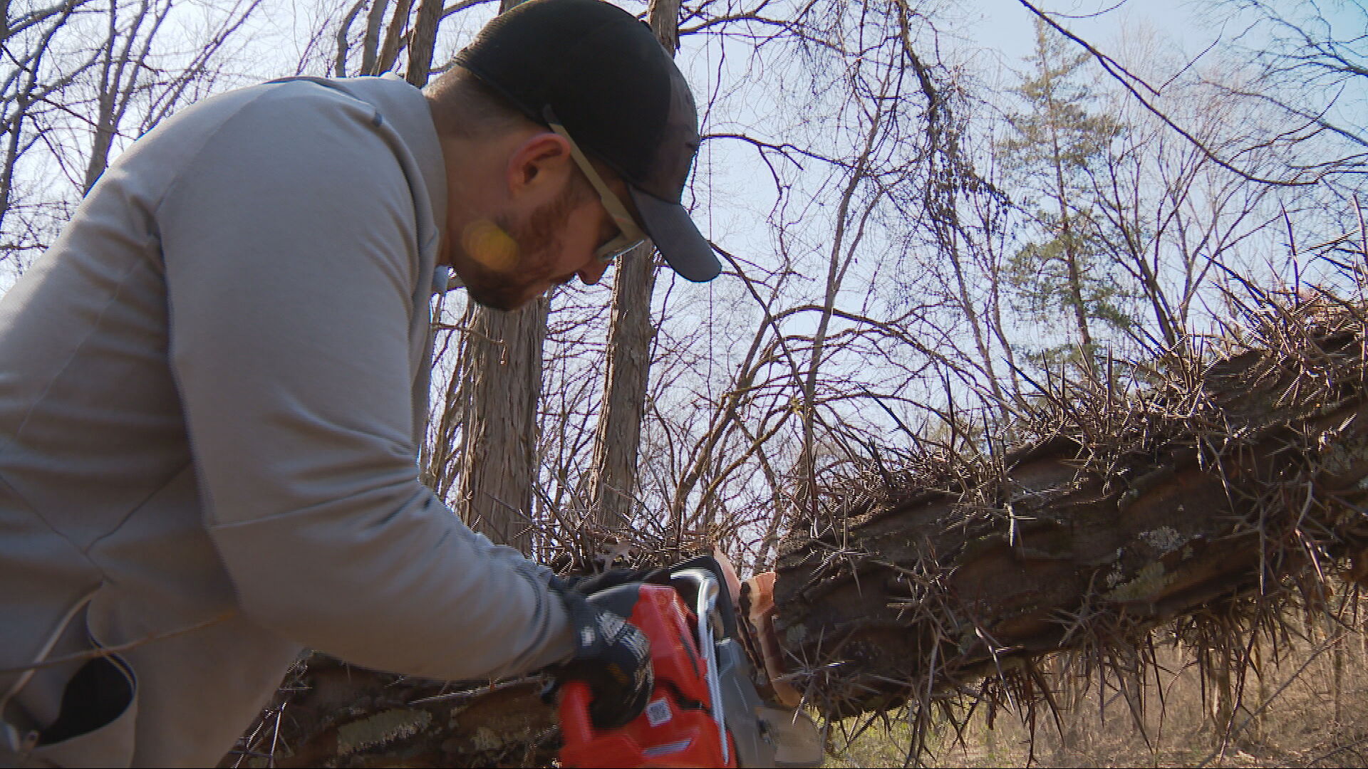 Brentwood storm debris clean up