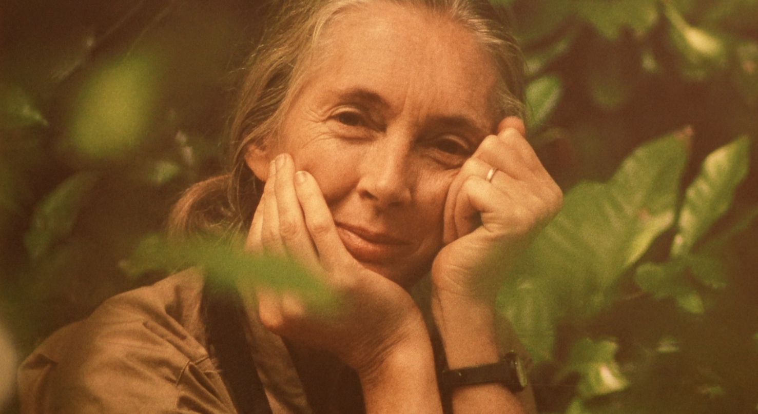 jane goodall