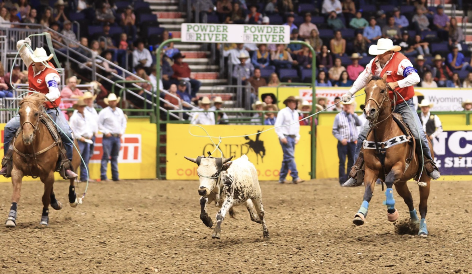 CNFR Team Roping.png