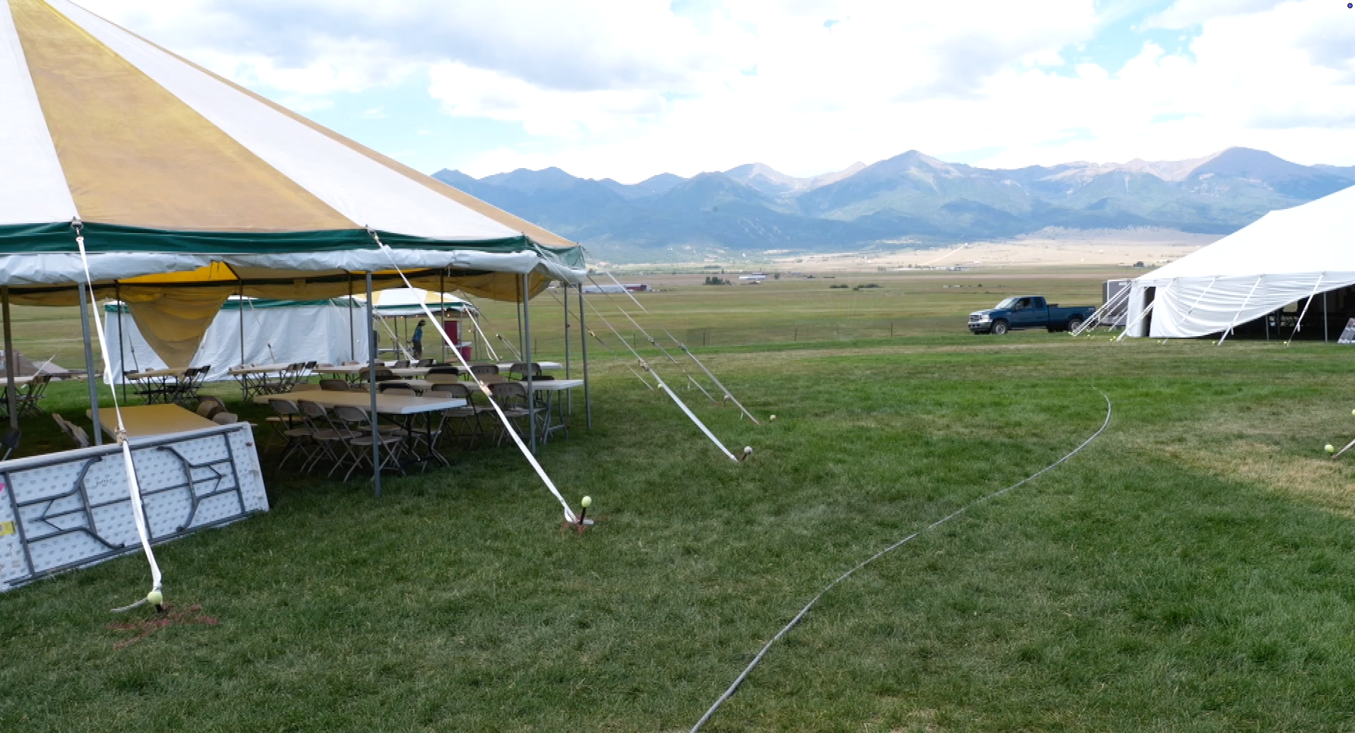 Bluegrass Festival