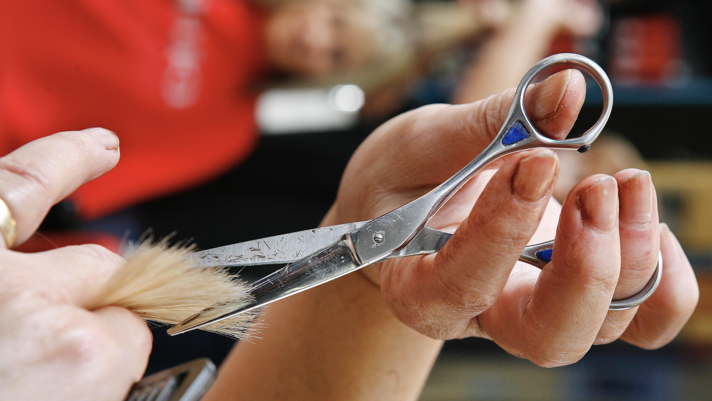 hair cut scissors barber haircut AP