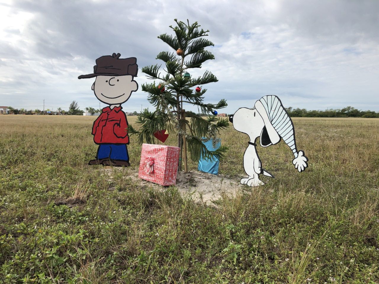 Charlie Brown tree Cape Coral 12-12-18.jpg