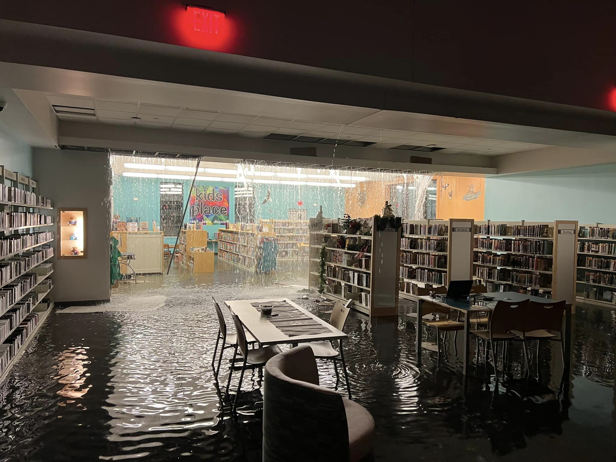 wayne county public library