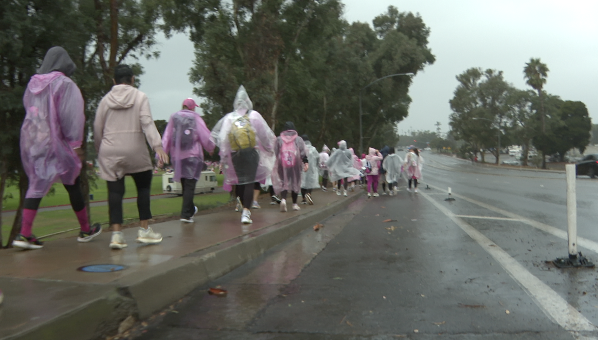 Thousands walking in the rain Saturday in a collective fight against breast cancer. 