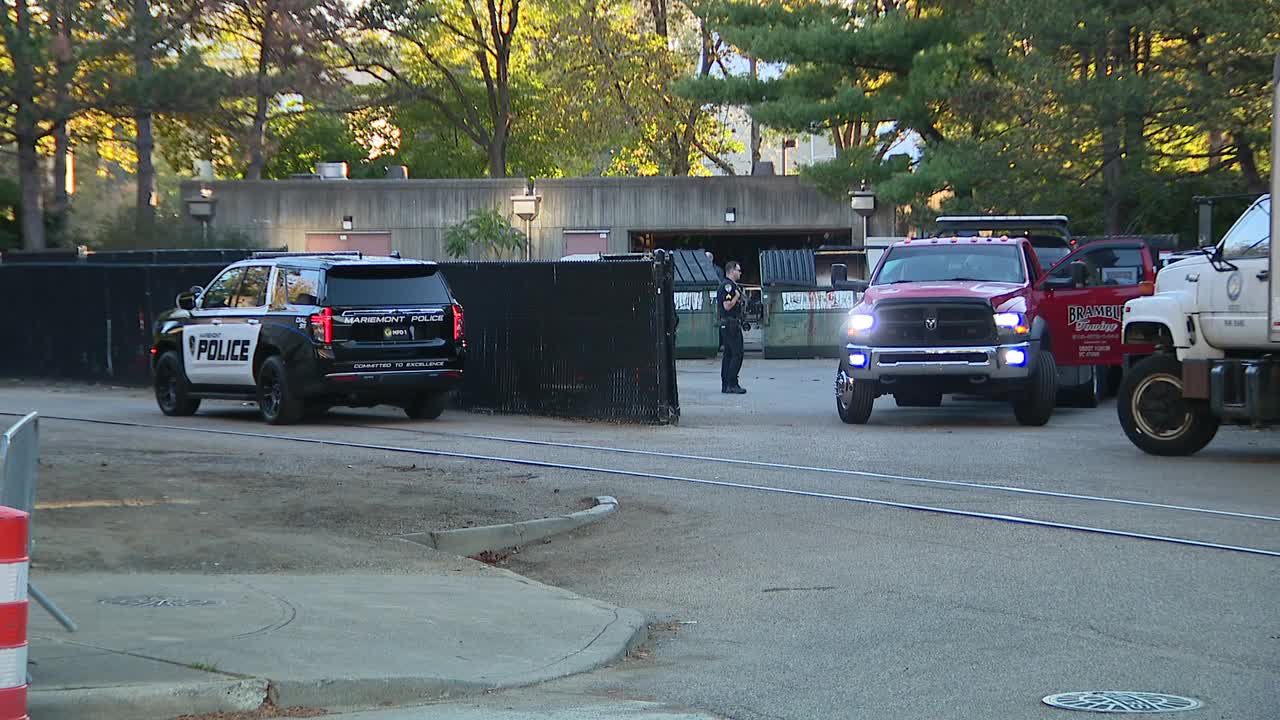 Poster image (4).jpg