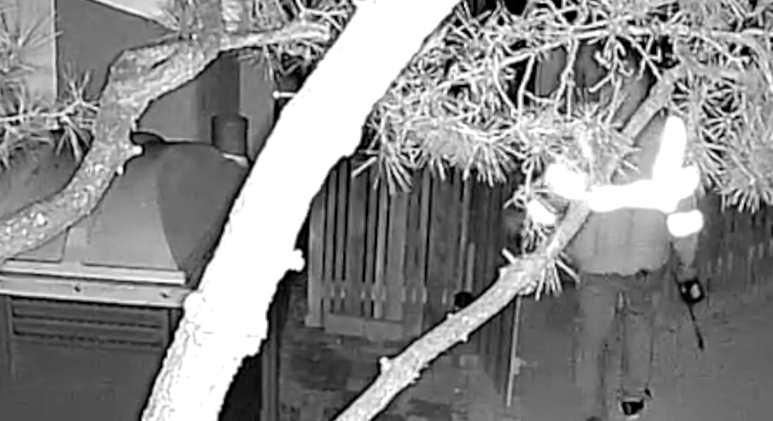 Thieves target Bay Ho home under renovation
