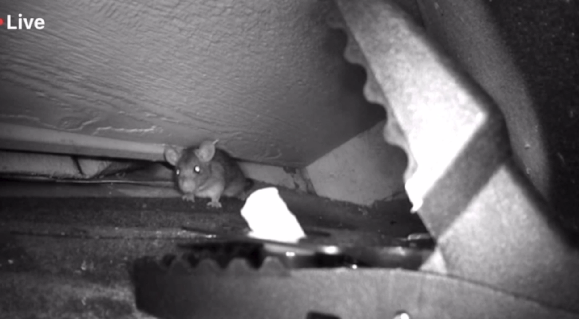 Screenshot 2026-03-27 164235.png