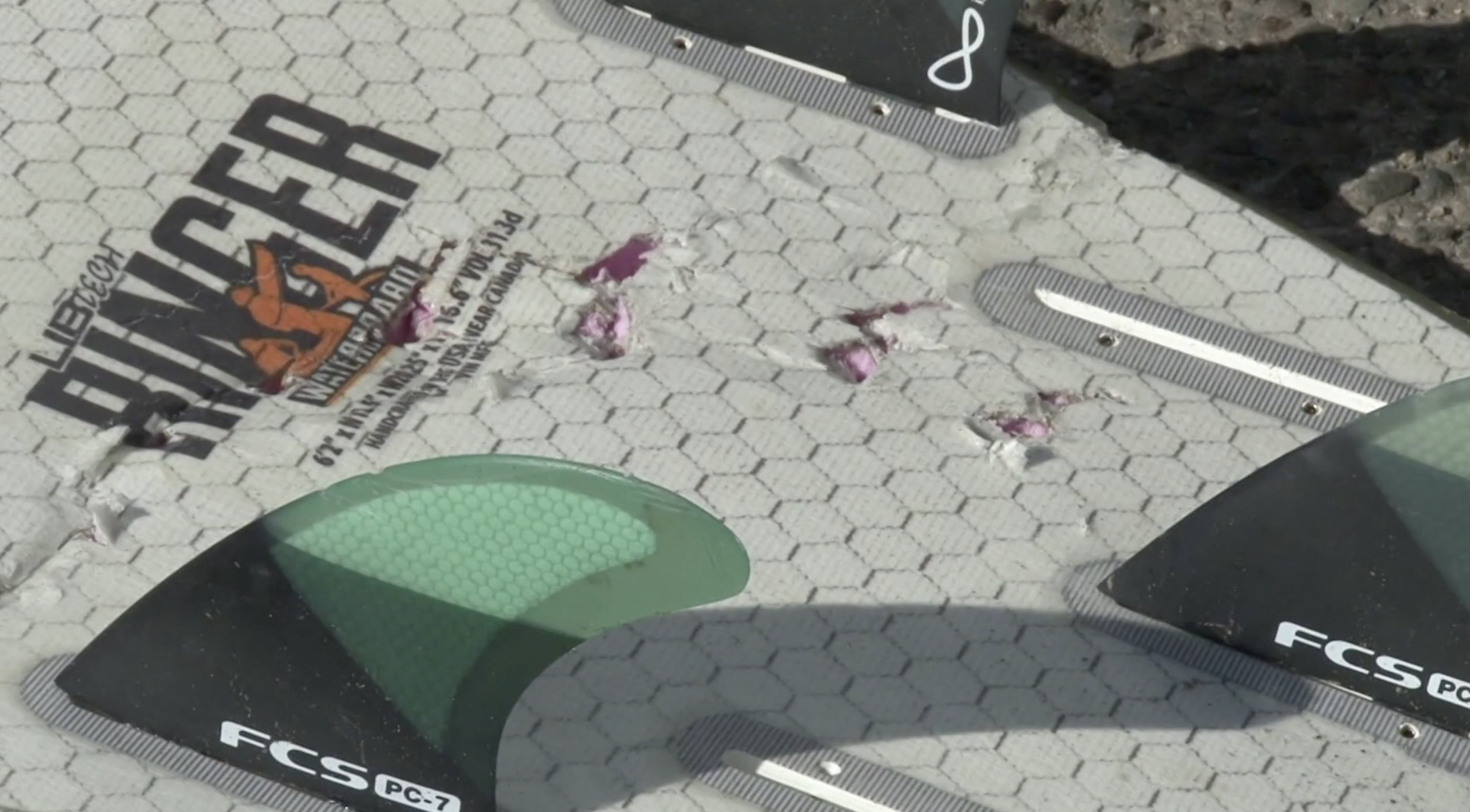 Shark attack.png